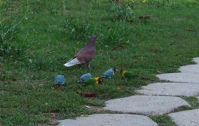 Прикрепленное изображение: 01.jpg